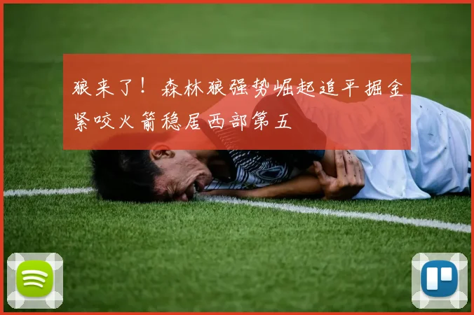 狼来了！森林狼强势崛起追平掘金紧咬火箭稳居西部第五