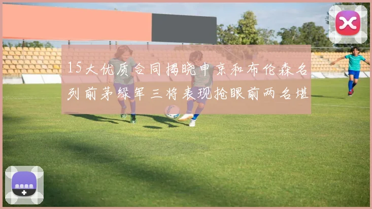 15大优质合同揭晓申京和布伦森名列前茅绿军三将表现抢眼前两名堪称传奇
