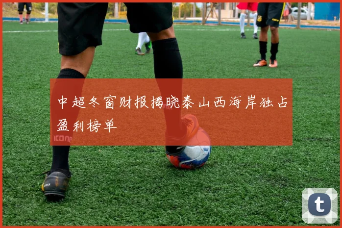 中超冬窗财报揭晓泰山西海岸独占盈利榜单