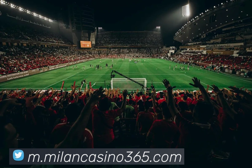 多媒体互动体验